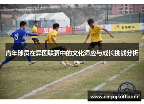 青年球员在异国联赛中的文化适应与成长挑战分析
