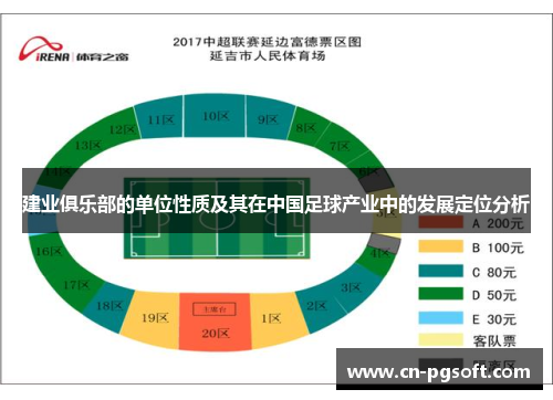 建业俱乐部的单位性质及其在中国足球产业中的发展定位分析