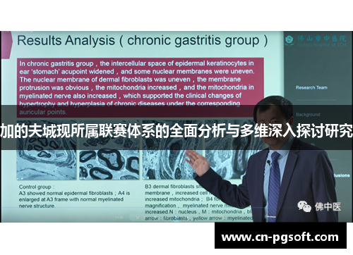 加的夫城现所属联赛体系的全面分析与多维深入探讨研究